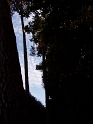 08 .JPG